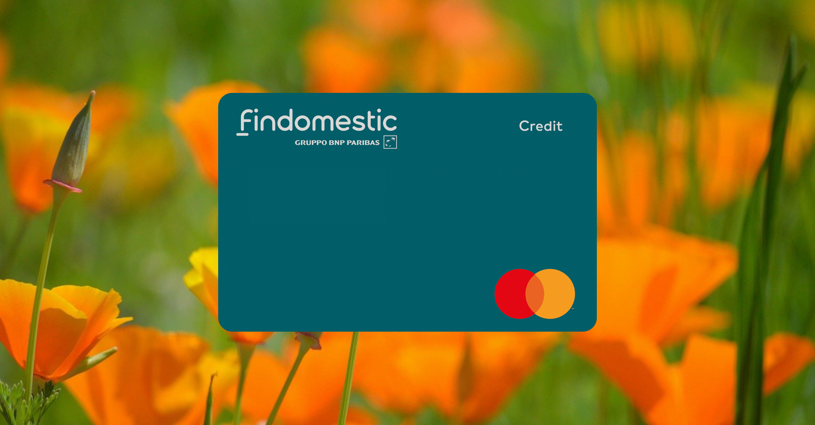 Come Richiedere la Carta di Credito Findomestic Guida Passo Passo