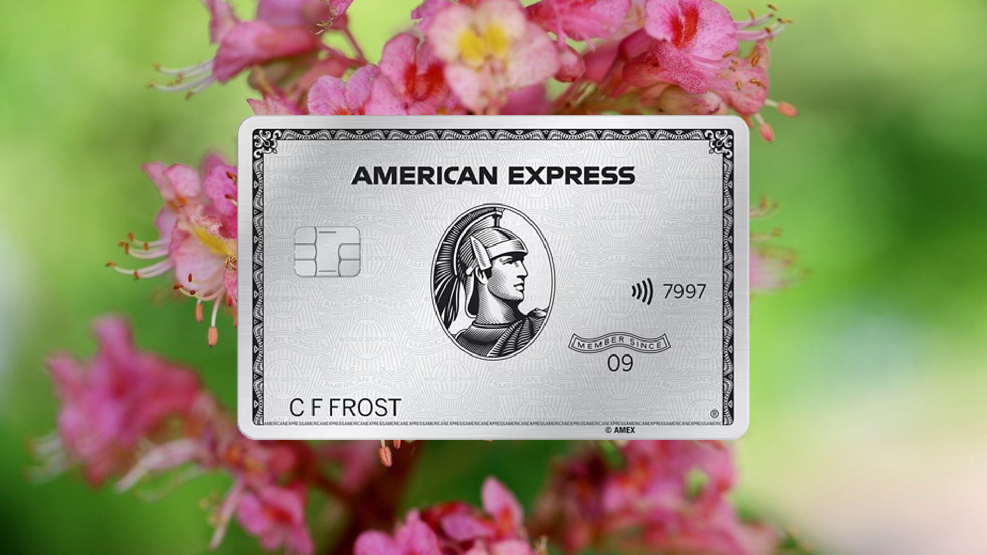 How to Apply for the American Express Platinum Credit Card Effortlessly