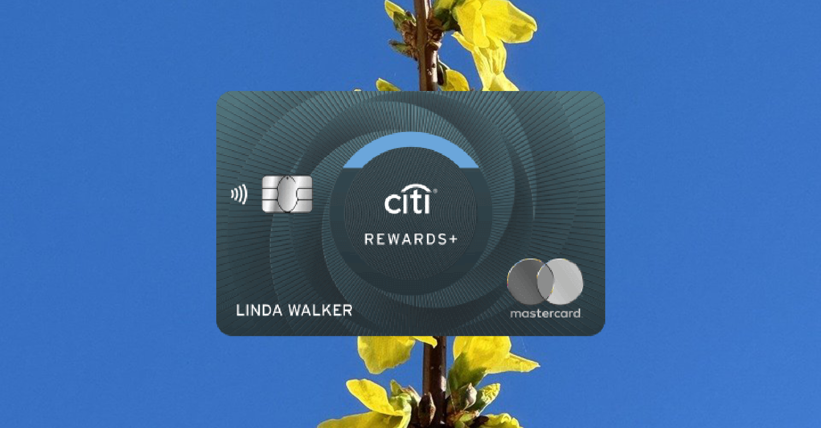 How to Apply for Citi Rewards Credit Card Easy Steps Tips